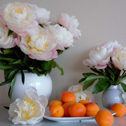 Photo #7783375