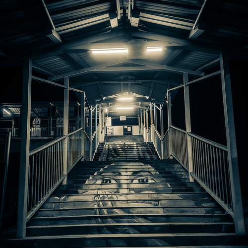 Photo #7783693