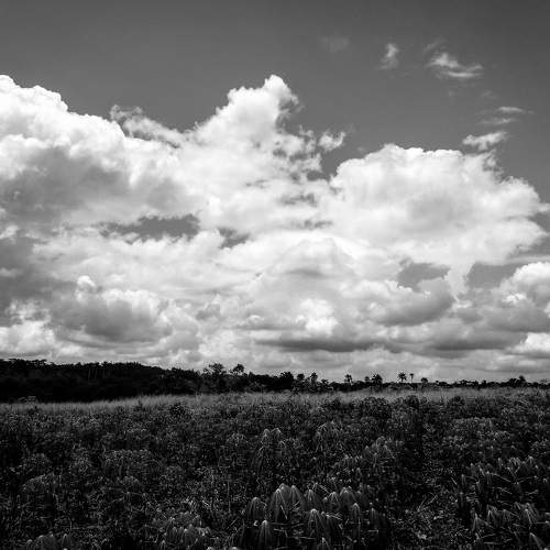 Photo #7784052