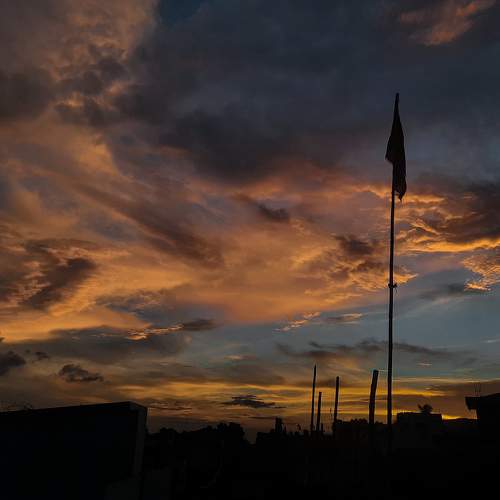 Photo #7784437