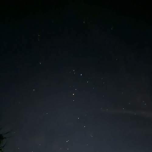Photo #7784529