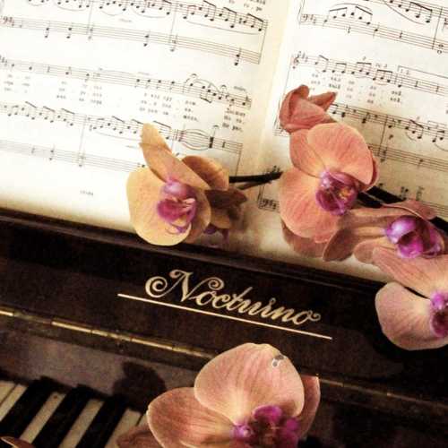 Photo #7784620