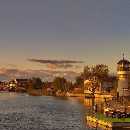 Photo #7784729