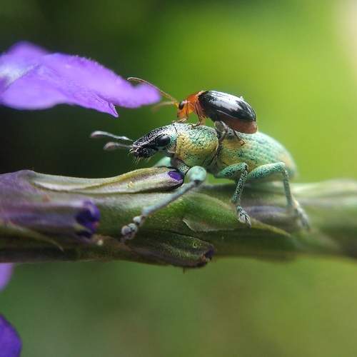 Photo #7784734