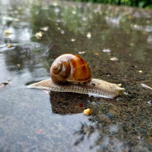 Photo #7785205