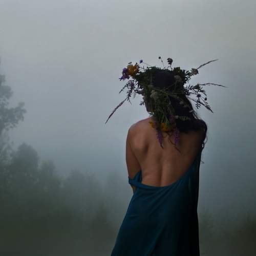 Photo #7785293