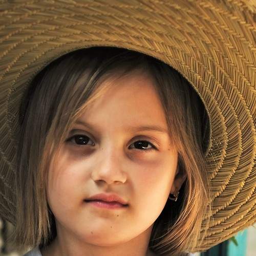 Photo #7785341