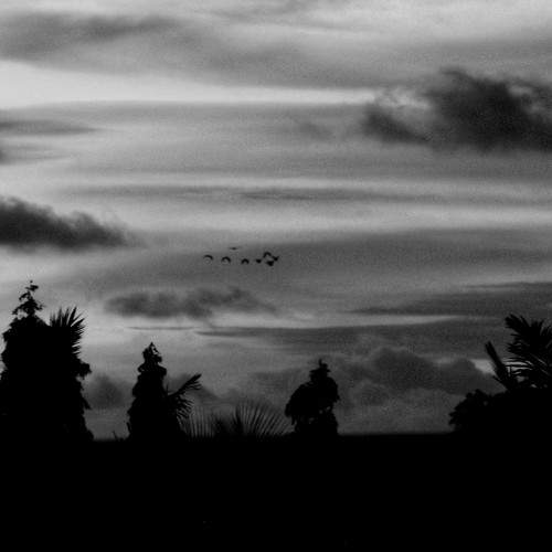 Photo #7785386
