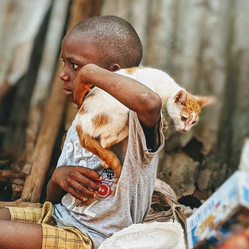 Photo #7785390
