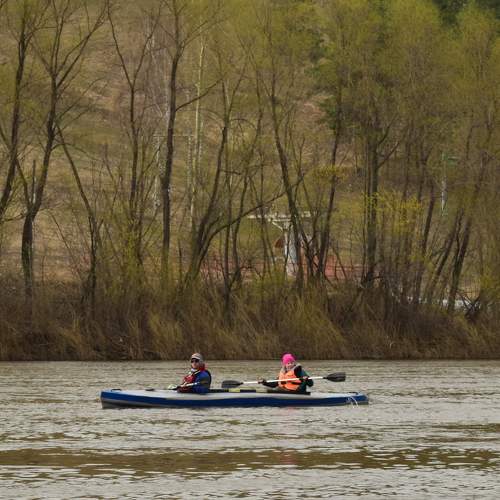 Photo #7785828
