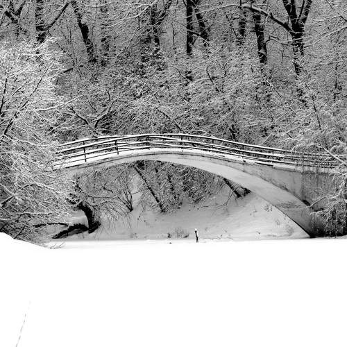 Photo #7785872