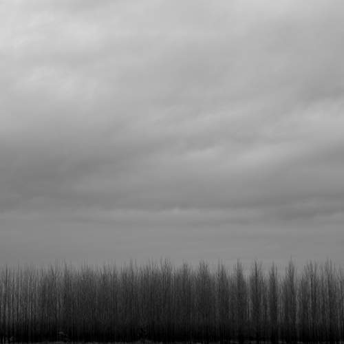 Black and white
