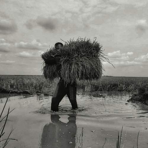 Photo #7786504