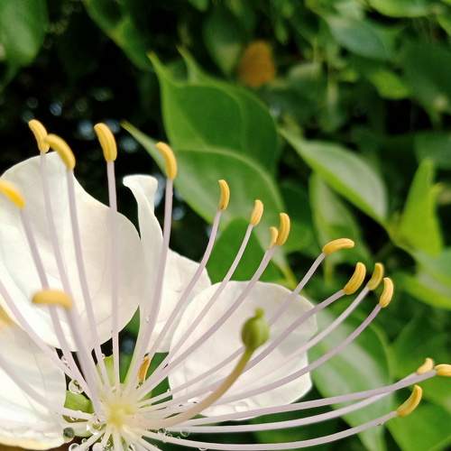 Photo #7787003