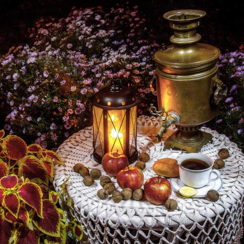 Photo #7787197