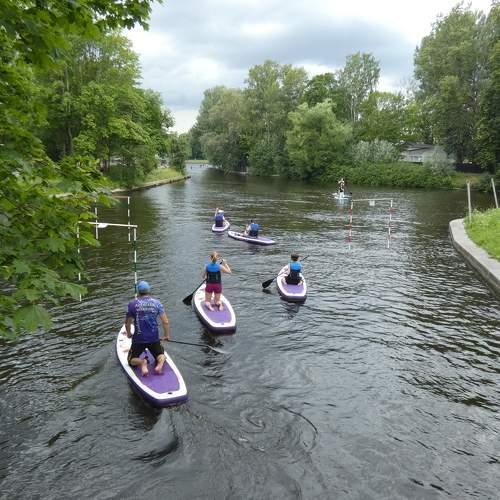 Photo #7787473