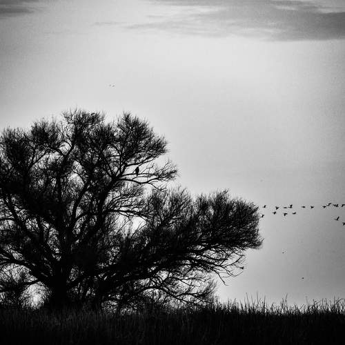 Photo #7787496