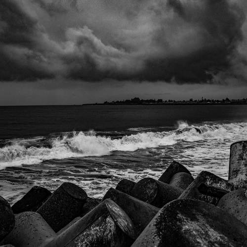 Photo #7787497