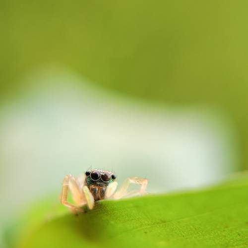 Photo #7787866