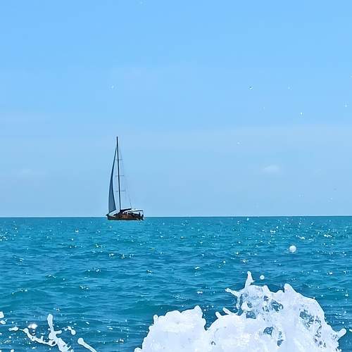 Photo #7787874