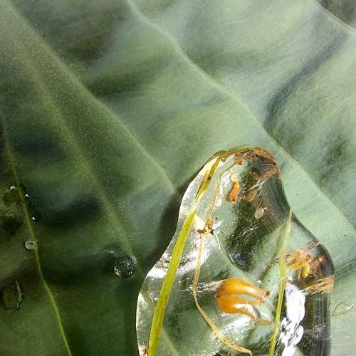 Photo #7787940