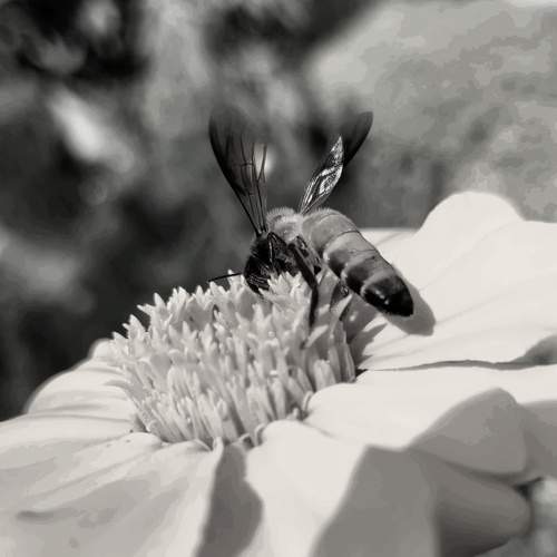Photo #7787951
