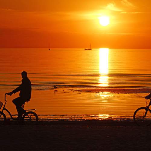 Photo #7788567