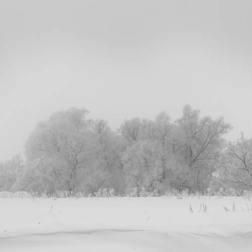 Photo #7788816