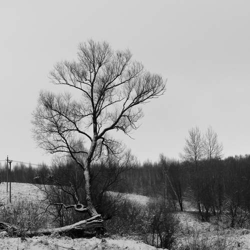 Photo #7788818