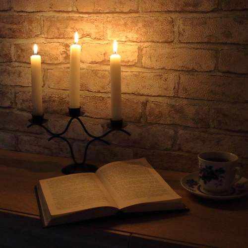 Photo #7788832