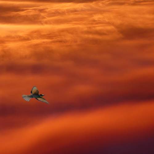 In the sky