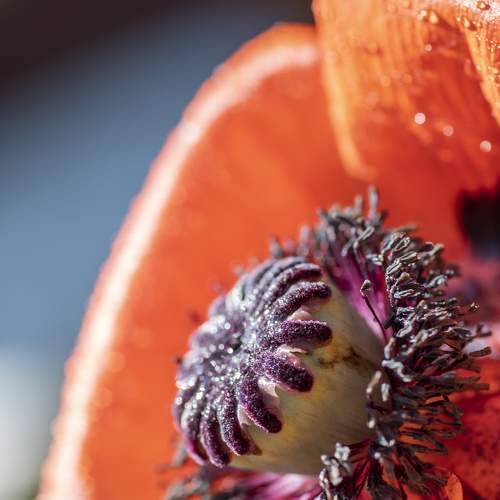 Photo #7789536