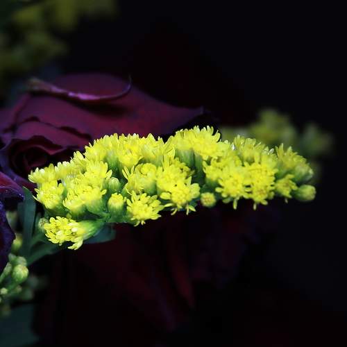 Photo #7789545