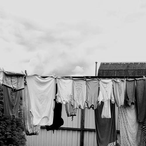 Photo #7789965