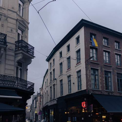 Photo #7790044