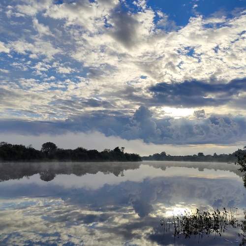 Photo #7790303