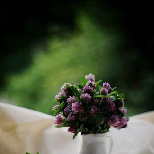 Photo #7790669