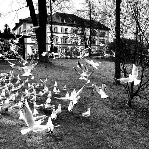Photo #7790694