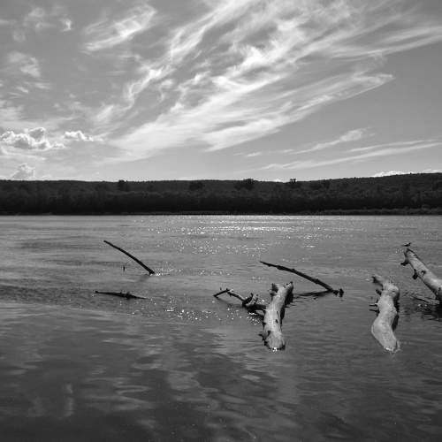 Photo #7790980