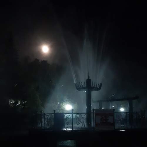 Photo #7791179
