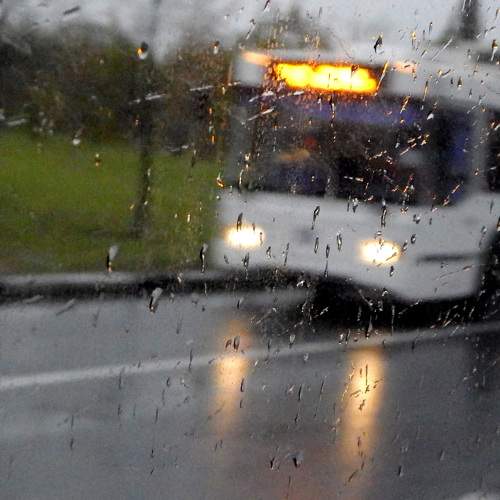 Photo #7791356
