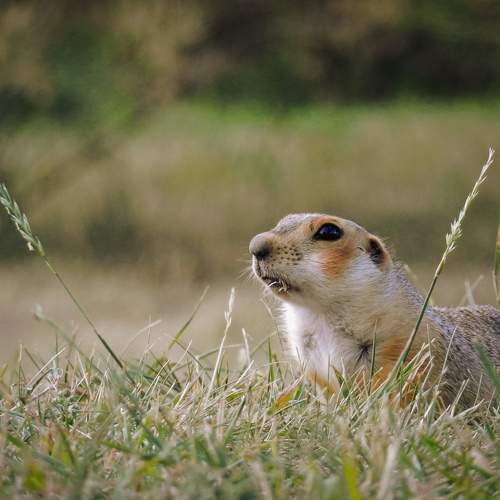 Photo #7791807