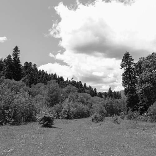 Photo #7791821