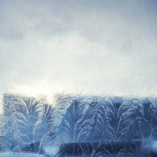 Photo #7792000