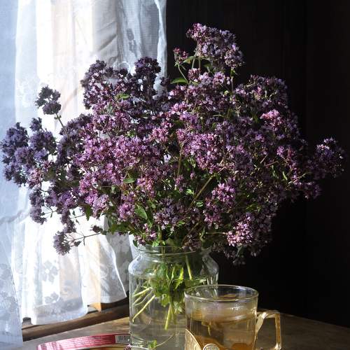 Photo #7792032