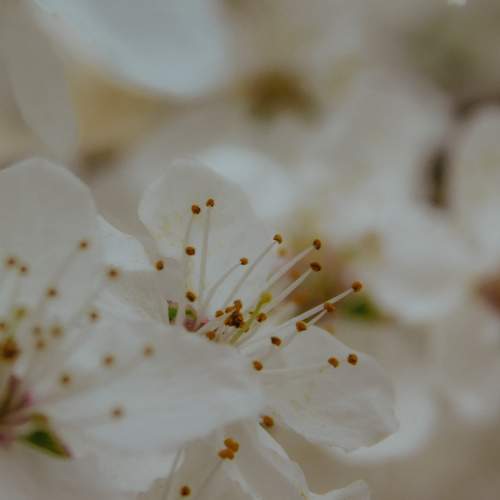 Photo #7792269