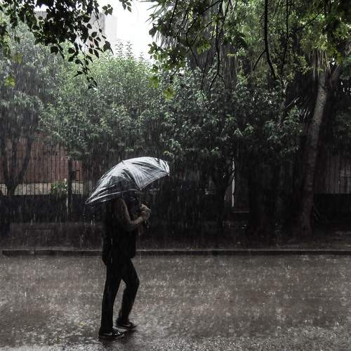 Photo #7792363