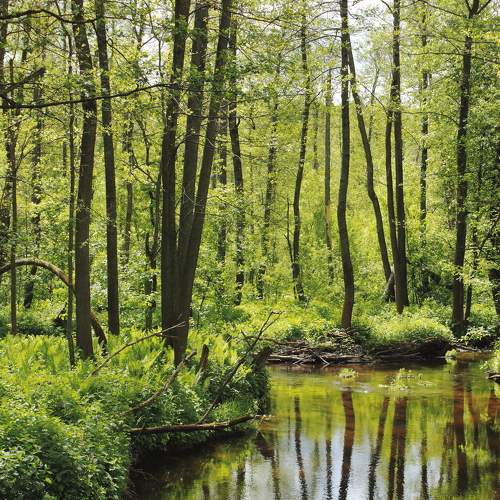 Photo #7792463