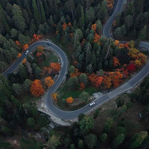 Photo #7792504