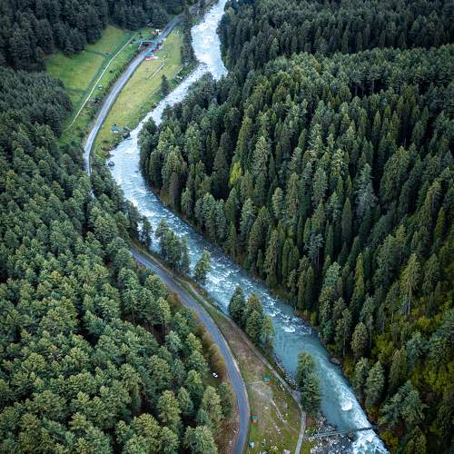 Photo #7792505